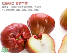 黑珍珠蓮霧多少錢一斤2017？黑珍珠蓮霧產(chǎn)地是哪里