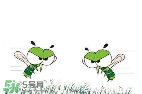 招蚊子是什么原因？招蚊子體質(zhì)怎么辦？