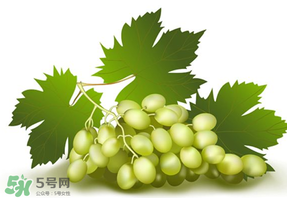 青提不能和什么一起吃？青提哪些人不能吃？