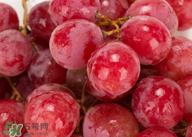 提子什么季節(jié)成熟？提子什么時(shí)候上市？