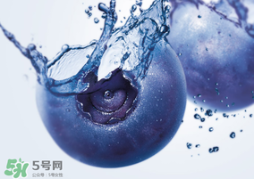 藍莓熱量高嗎？藍莓醬熱量高嗎？