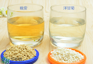 美林菊花晶一天喝幾次？美林菊花晶一天喝多少？