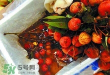 荔枝為什么要用藥水泡？荔枝藥水浸泡是否安全？
