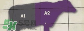 A2奶粉斷貨用什么奶代替最合適？與A2奶粉相近的奶是什么