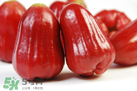 黑珍珠蓮霧多少錢一斤2017？黑珍珠蓮霧產(chǎn)地是哪里