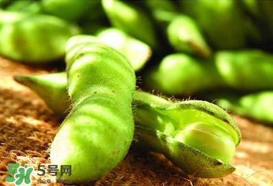 六月份可以種毛豆嗎？六月份毛豆怎么種植？
