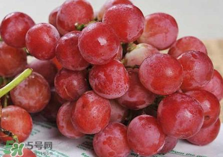 提子為什么會(huì)澀？提子澀怎么辦是沒熟嗎？
