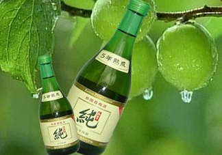 青梅酒泡多久可以喝？青梅酒好喝嗎？