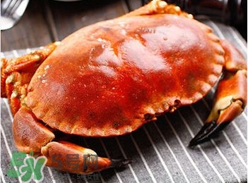 面包蟹好吃還是梭子蟹？面包蟹和梭子蟹的區(qū)別