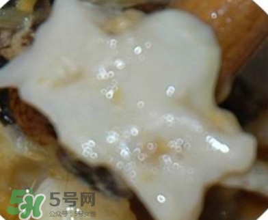 面包蟹是哪里產(chǎn)的？面包蟹哪里不能吃圖解