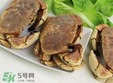 面包蟹是黃道蟹嗎？黃道蟹和面包蟹一樣嗎