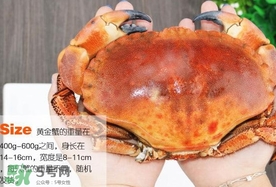速凍面包蟹如何處理？活面包蟹怎么處理清洗
