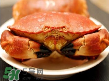 熟凍面包蟹怎么解凍？熟凍面包蟹要怎么清洗