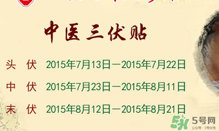三伏貼能治什么病？三伏貼能治哪些??？