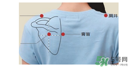 三伏貼貼在什么位置？三伏貼貼哪里？