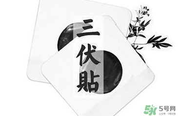 貼三伏貼注意事項(xiàng) 貼三伏貼要注意什么？
