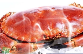 速凍面包蟹如何處理？活面包蟹怎么處理清洗