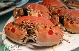 面包蟹什么季節(jié)吃最好？面包蟹什么時候最有黃