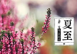 夏至是什么意思？夏至的習(xí)俗有哪些