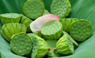 新鮮蓮子什么時候有？新鮮蓮子幾月有？