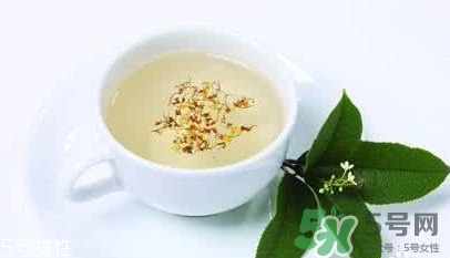 葛根茶多少錢一盒？2017葛根茶價(jià)格