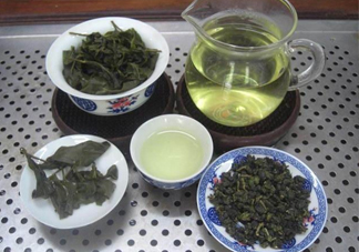 杜仲茶哪些人不適宜喝？杜仲茶飲用注意事項(xiàng)