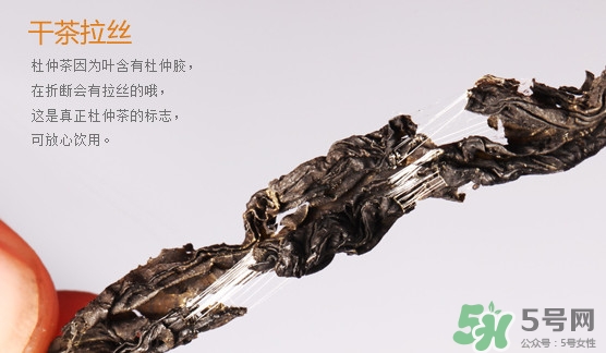 杜仲茶每天喝多少合適？杜仲茶喝多有什么不好