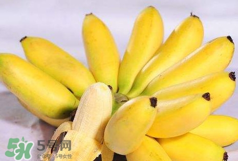 芭蕉和香蕉哪個貴？芭蕉和香蕉哪個好