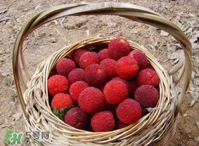 煮楊梅汁需要煮多長時間？楊梅汁怎么煮？