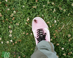 stussy與vans2017春夏系列聯(lián)名鞋子什么時(shí)候發(fā)售？