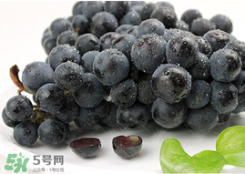 無籽葡萄孕婦能不能吃？無籽葡萄和葡萄的區(qū)別