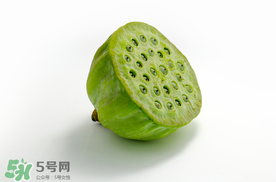 蓮蓬什么時(shí)候成熟？蓮蓬什么時(shí)候上市？