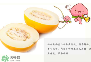 黃金瓜熱量高嗎？黃金瓜會胖嗎？
