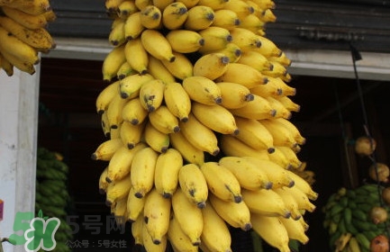 芭蕉不熟可以吃嗎？芭蕉怎么催熟