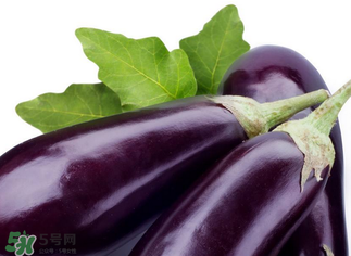 茄子怎么挑選？如何挑選茄子？