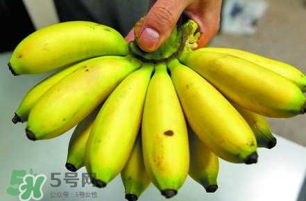 芭蕉不熟可以吃嗎？芭蕉怎么催熟