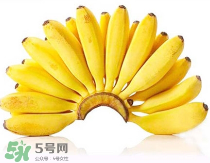 芭蕉是香蕉嗎？芭蕉和香蕉的區(qū)別
