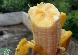 孕婦可以吃芭蕉嗎？吃芭蕉有什么好處