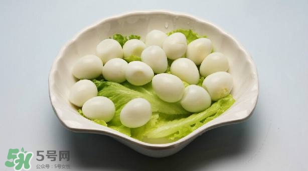 鵪鶉蛋和雞蛋哪個營養(yǎng)價值高？鵪鶉蛋怎么選購？
