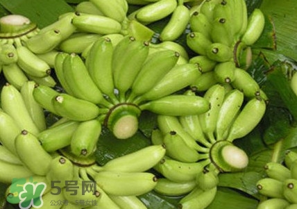 芭蕉如何保存時(shí)間久？青芭蕉摘下來(lái)怎么保存