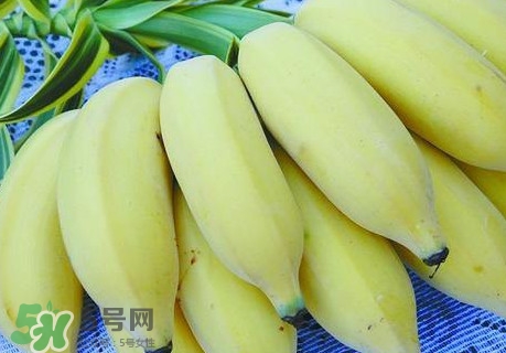 芭蕉里面的黑籽是什么？芭蕉是草本類(lèi)還是木本類(lèi)