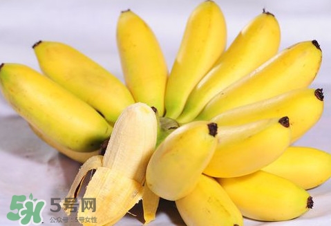 芭蕉是熱性還是涼性？芭蕉是熱性還是寒性？