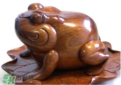 蟾蜍有什么寓意？為什么蟾蜍被寓意為招財(cái)？