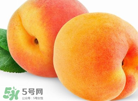 芭蕉和桃子能一起吃嗎？芭蕉可以和桃子一起吃嗎