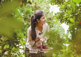 仙居楊梅在哪里？仙居楊梅哪里最好？