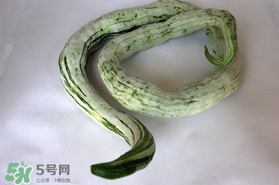 蛇瓜怎么挑選？蛇瓜的選購技巧