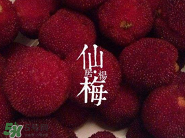 仙居楊梅多少錢一斤？仙居楊梅多少錢一斤2017？