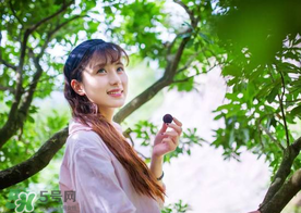 仙居楊梅在哪里？仙居楊梅哪里最好？