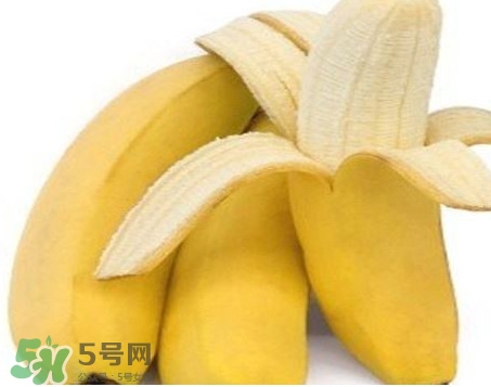 皇帝蕉多少錢一斤？2017皇帝蕉價格