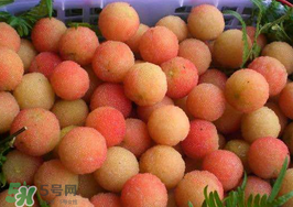 白楊梅可以泡酒嗎？白楊梅泡酒有什么功效？